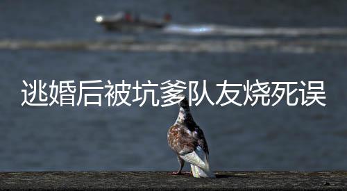 逃婚后被坑爹队友烧死误闯无限流:完结+番外(苏毅陈墨于)免费阅读完整版_(逃婚后被坑爹队友烧死误闯无限流:完结+番外)最新章节列表_笔趣阁(苏毅陈墨于)